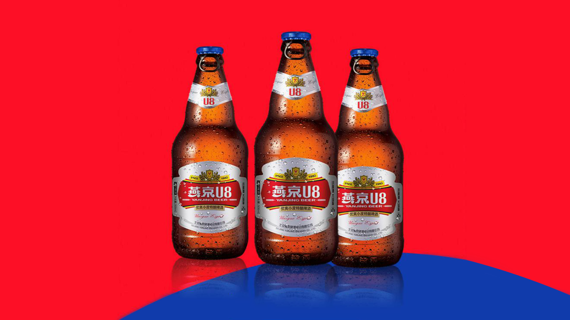 燕京啤酒新品品牌策略规划