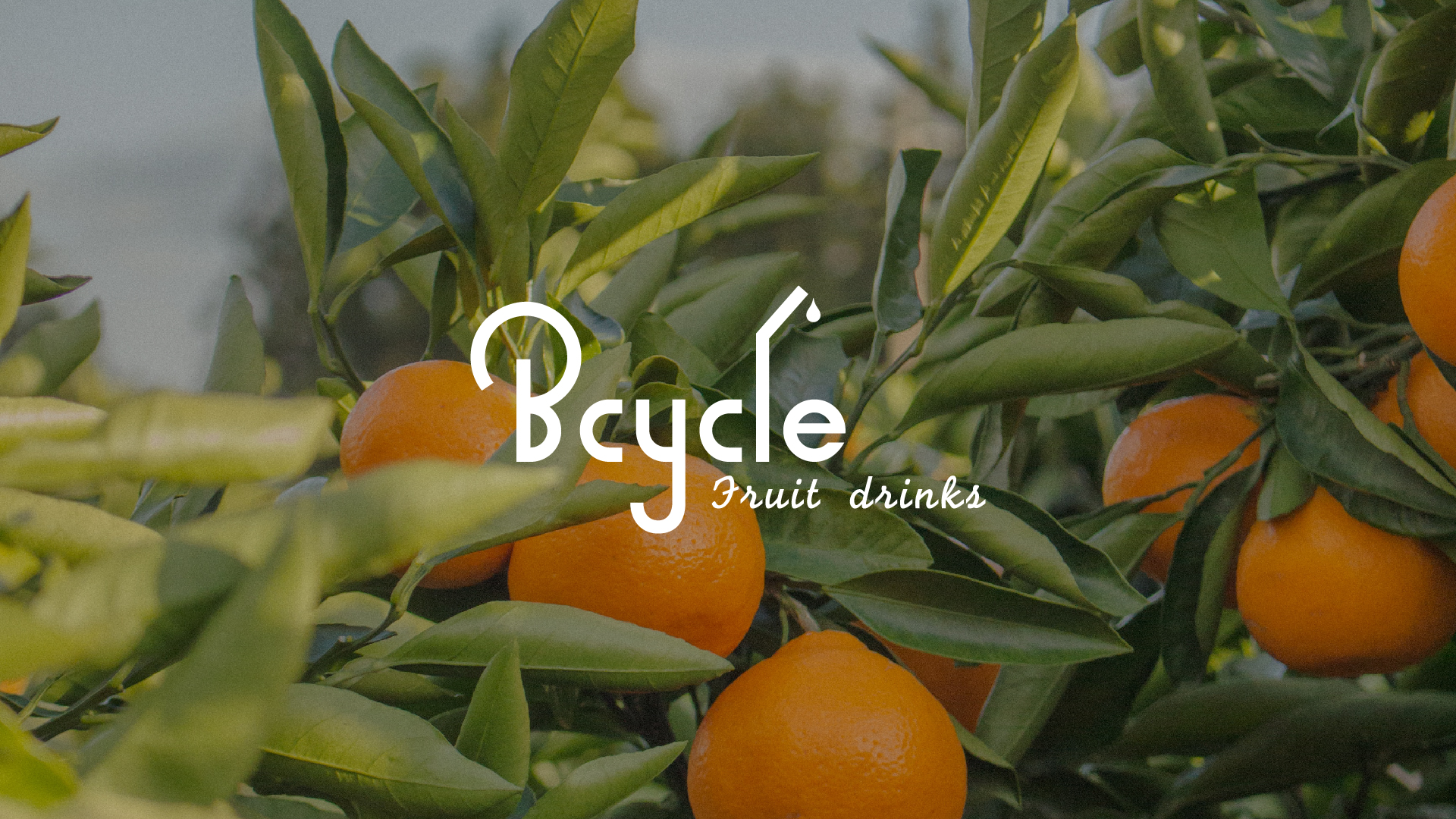 Bcycle水果饮料logo设计